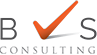 BVS Consulting – Consulting Firm for Tech Companies